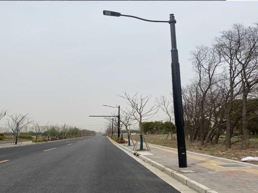 察隅县上海综合杆 太阳能路灯工程